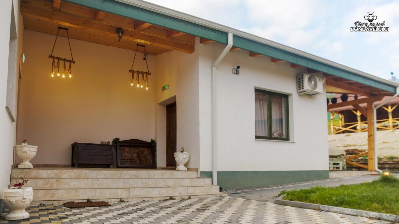 Domeniul Bondarelului Hotel Ocolisu Mic Exterior foto