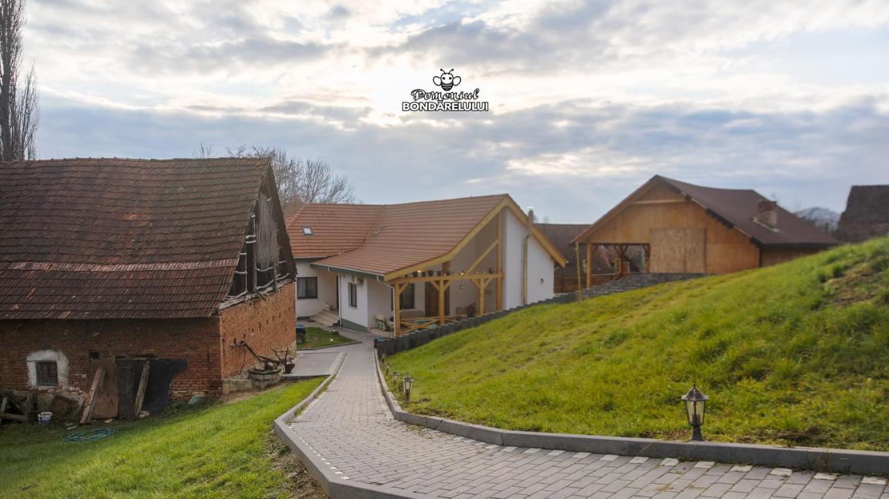 Domeniul Bondarelului Hotel Ocolisu Mic Exterior foto