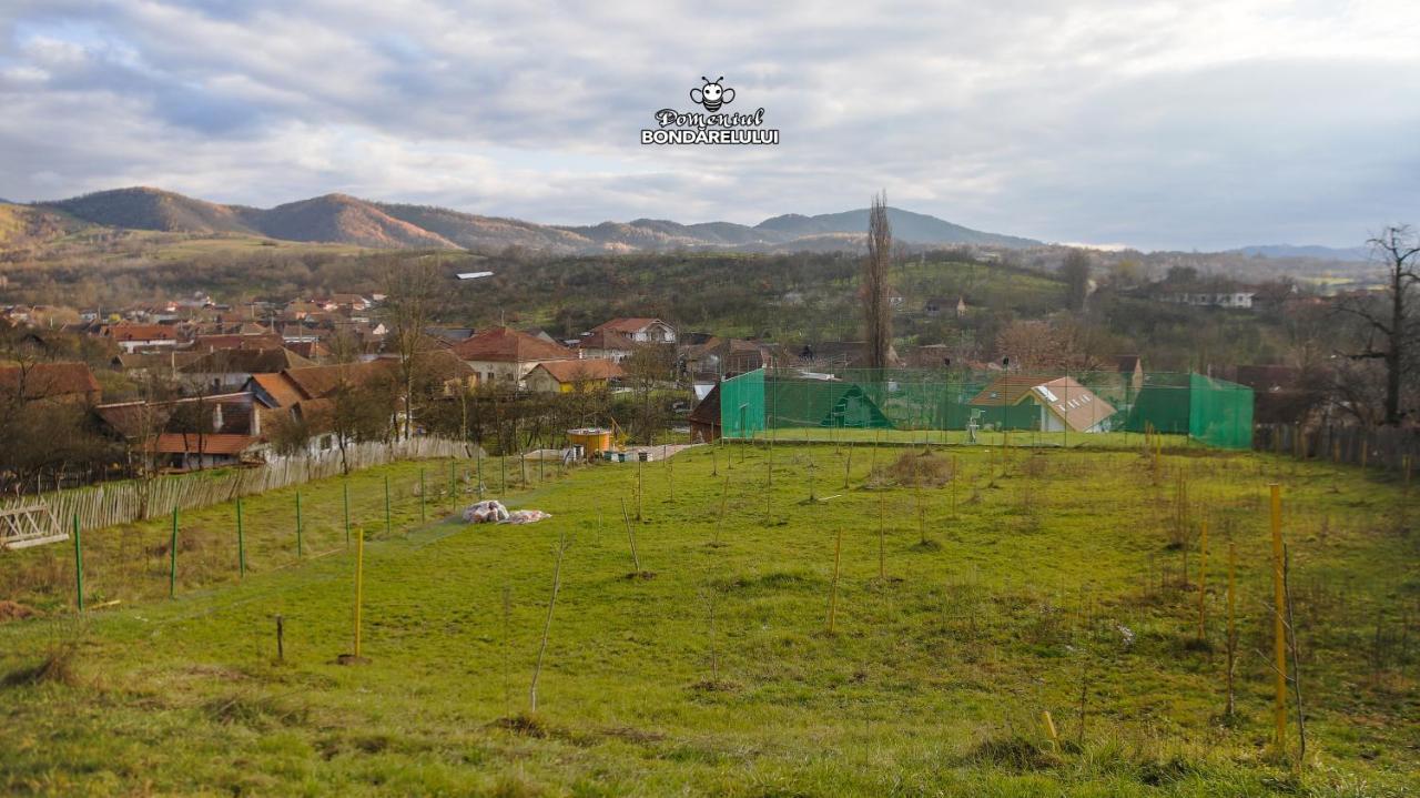 Domeniul Bondarelului Hotel Ocolisu Mic Exterior foto