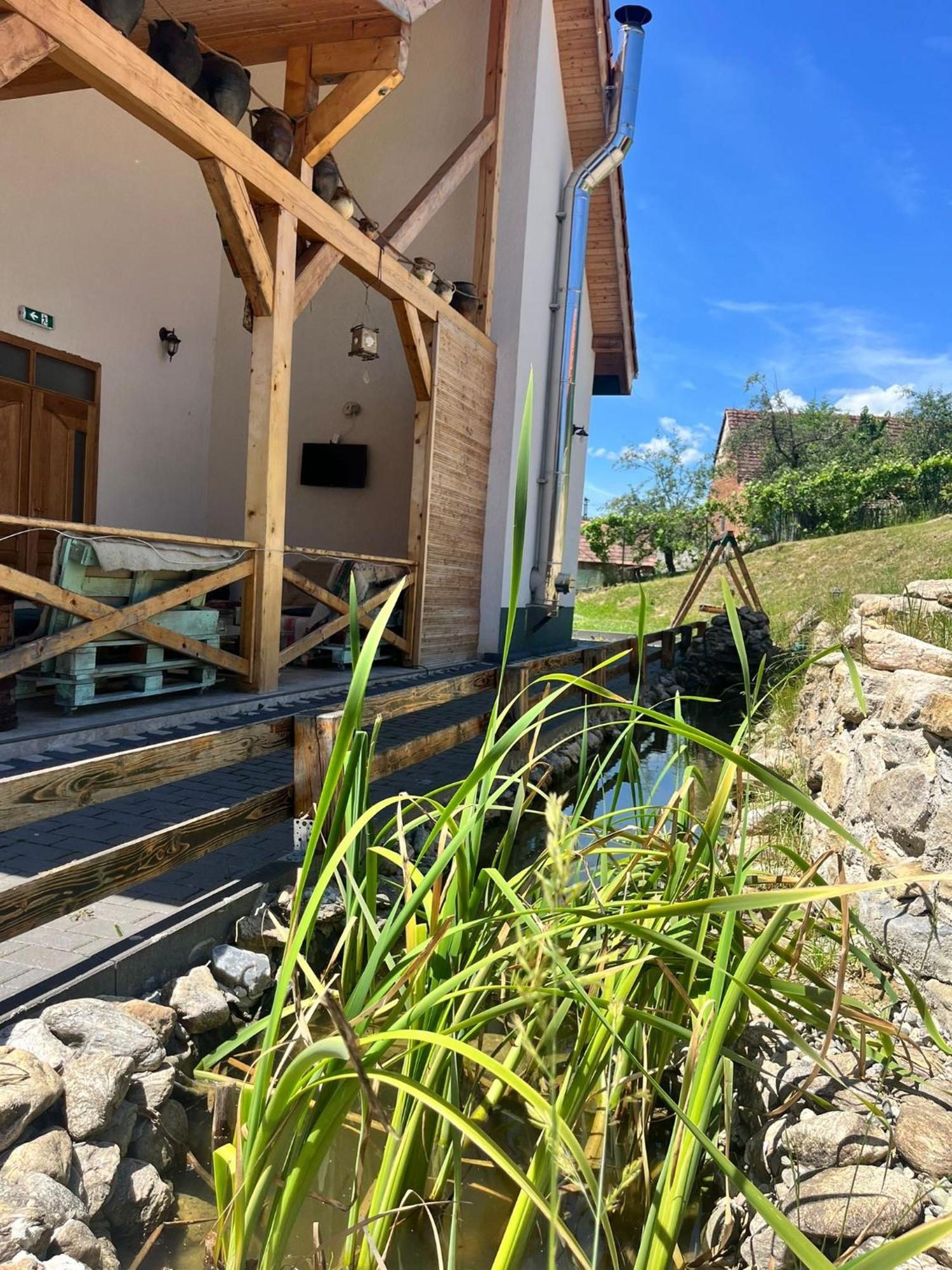 Domeniul Bondarelului Hotel Ocolisu Mic Exterior foto