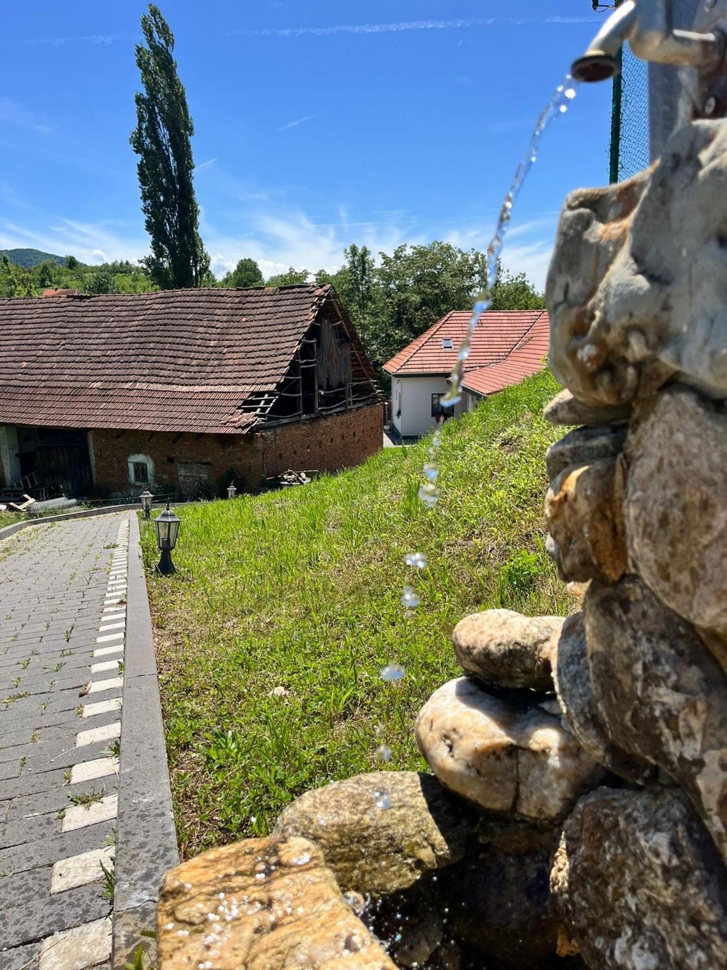 Domeniul Bondarelului Hotel Ocolisu Mic Exterior foto